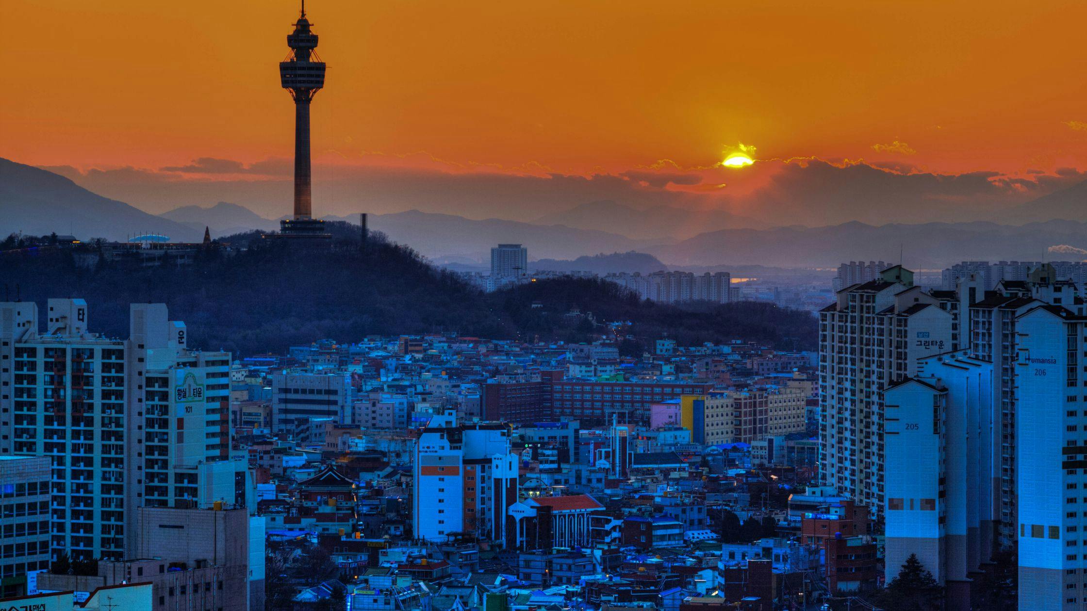 Daegu – Mountain Cultural Hub